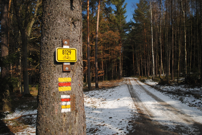 Souběh cyklo a pěších značek v Brdských lesích