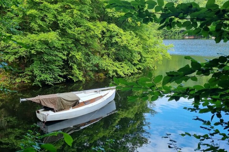 Svatojánské proudy